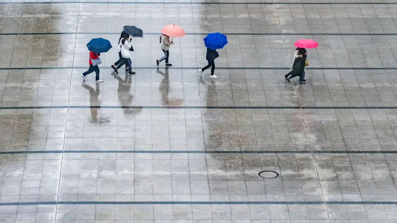 打开这个网站你会感谢我的实用在线工具站使用指南